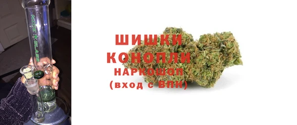 стафф Заводоуковск