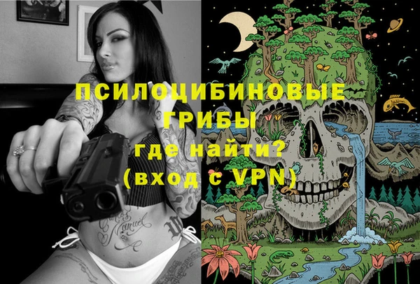 Альфа ПВП Заволжск