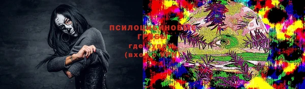 стафф Заводоуковск