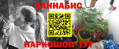 mdpv Заводоуковск