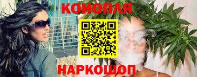 mdpv Заводоуковск