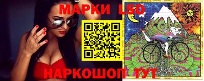 mdpv Заводоуковск