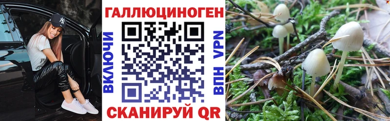 Галлюциногенные грибы прущие грибы  shop телеграм  Керчь  что такое  
