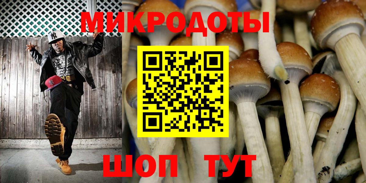 Керчь  Галлюциногенные грибы прущие грибы  Вход с VPN  Галлюциногенные грибы ЛСД 